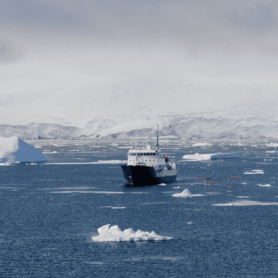 Antarctica cruise