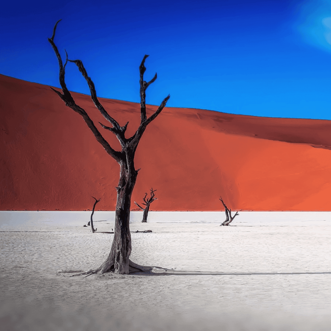 Sossusvlei en Deadvlei