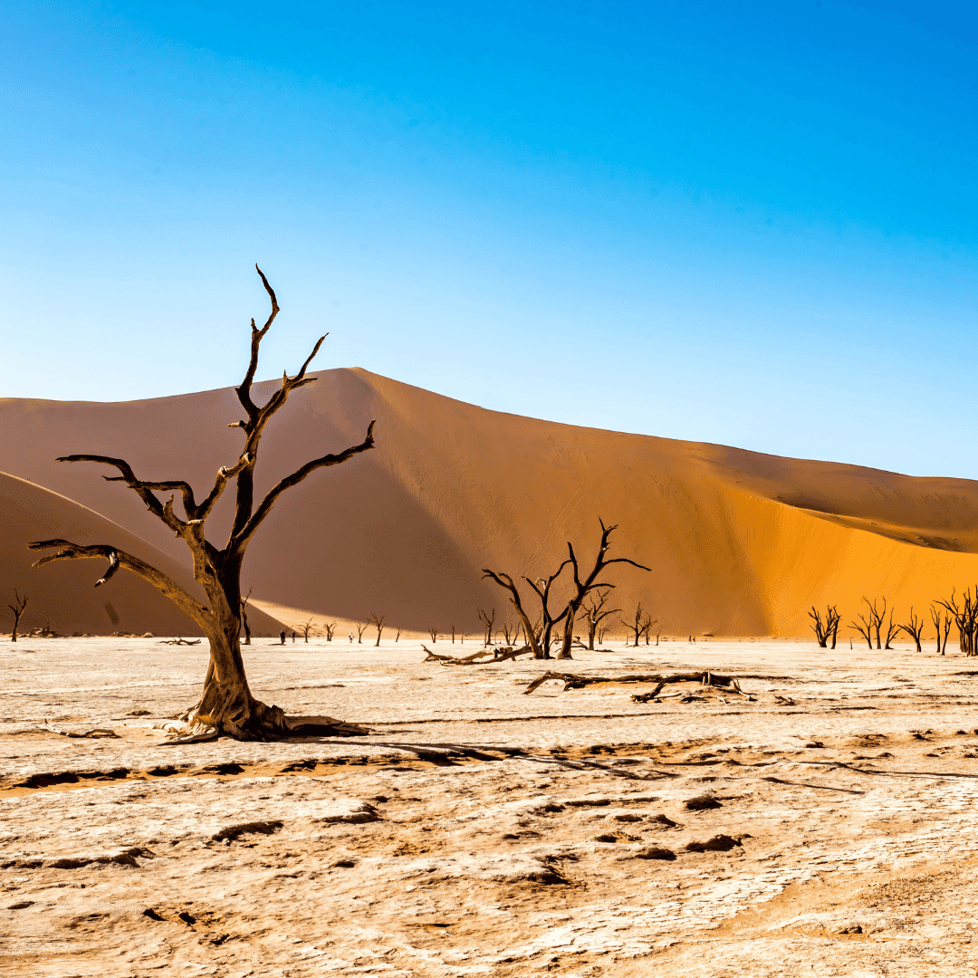 Namibië