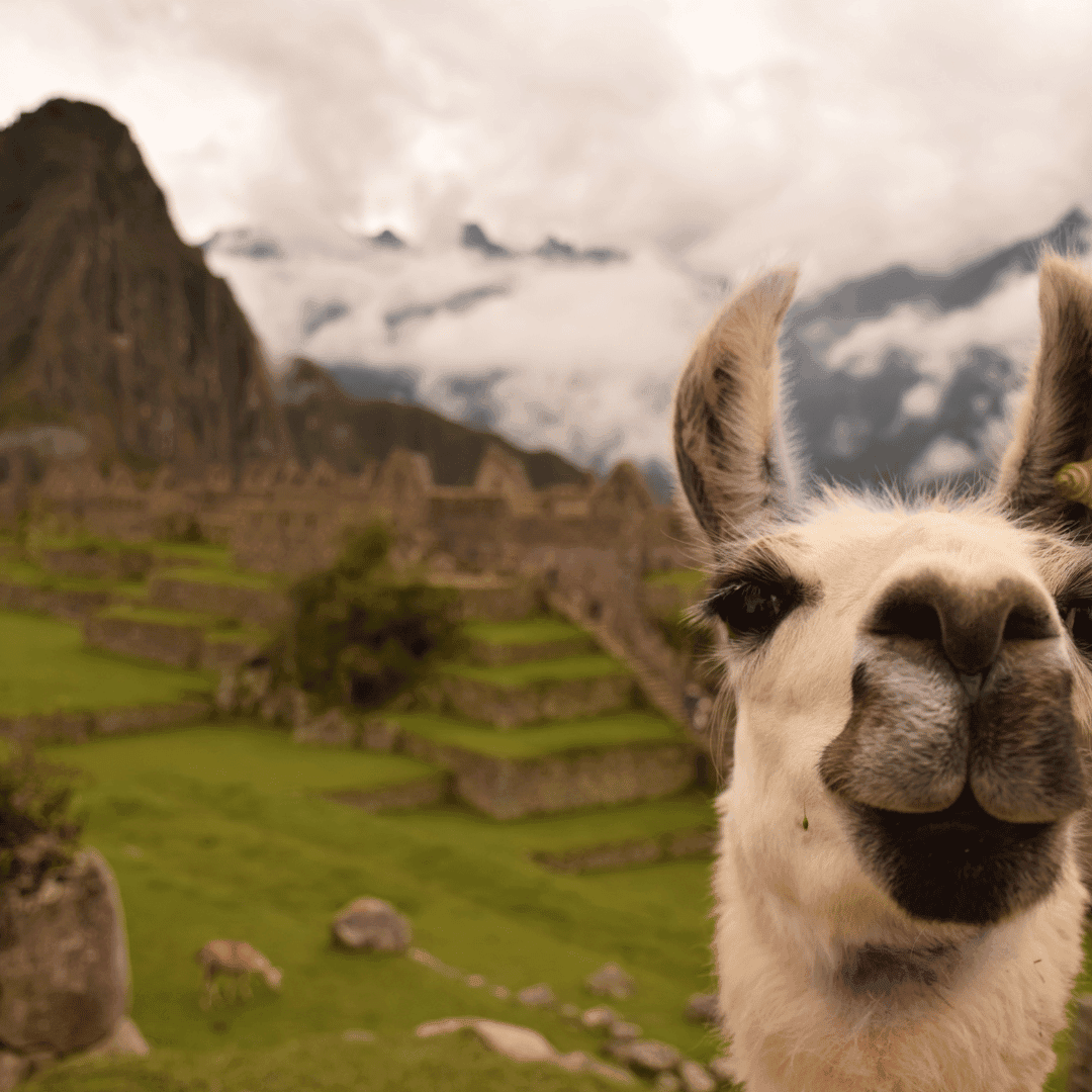 Peru