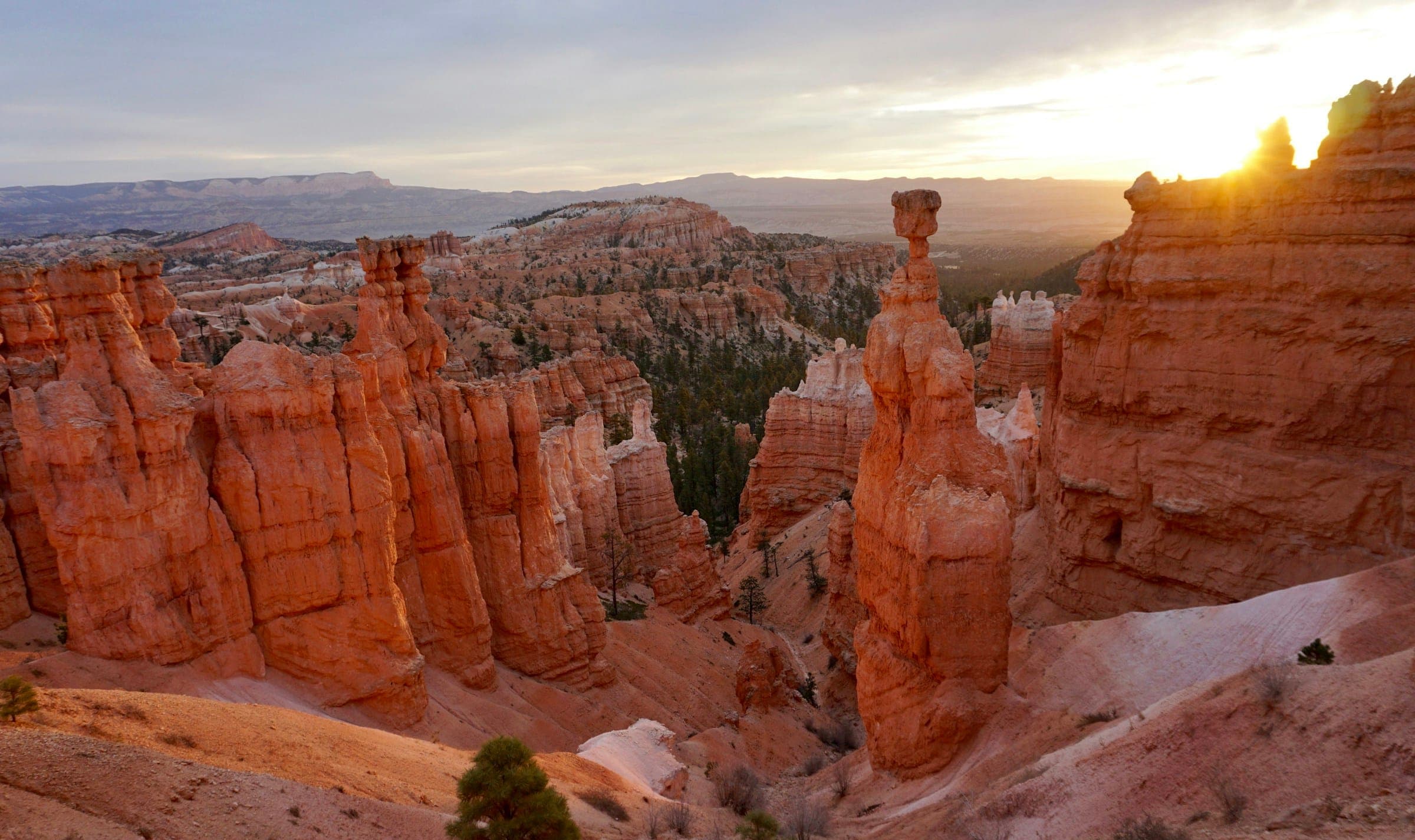 Rode rotspilaren in Bryce Canyon bij zonsopkomst