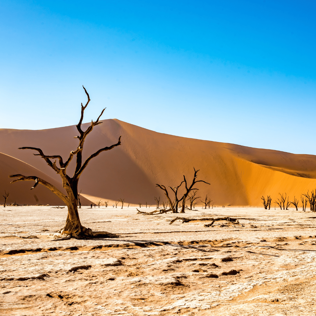 Namibië