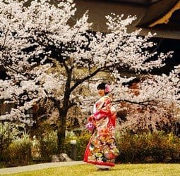 Groepsrondreis Japan Hoogtepunten Groepsrondreis Japan Hoogtepunten