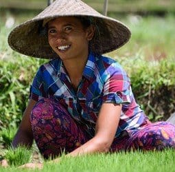 Groepsrondreis Java/Bali