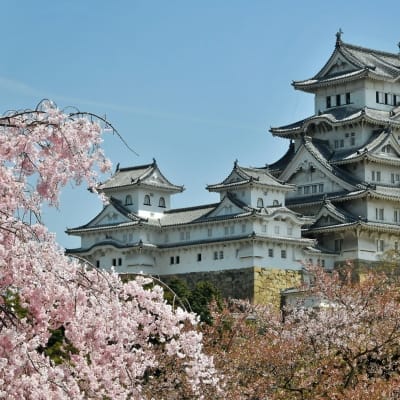 Rondreis Japan, 10 dagen