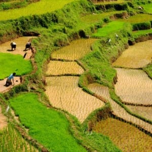 Rondreis Java & Bali, 18 dagen