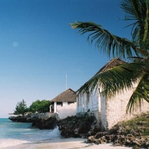 Rondreis Oeganda, Tanzania & Zanzibar, 21 dagen hotel/kampeerreis