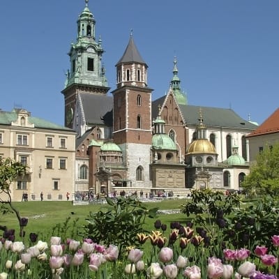 Rondreis Polen, 14 dagen