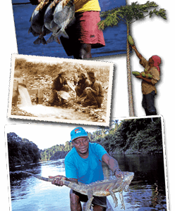 Rondreis Suriname, 20 dagen Rondreis Suriname, 20 dagen