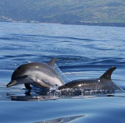 Wandelvakantie Azoren