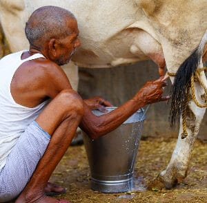 Rondreis NOORD-INDIA