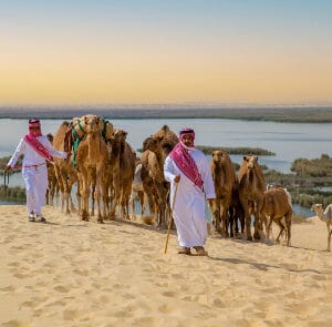 Rondreis SAOEDI-ARABIË, QATAR & BAHREIN