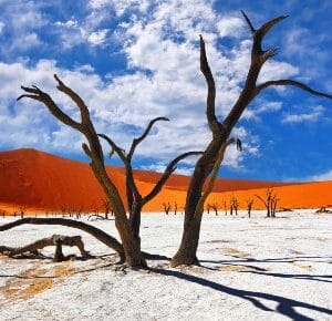 Rondreis ZUID-AFRIKA, NAMIBIË, BOTSWANA & ZIMBABWE