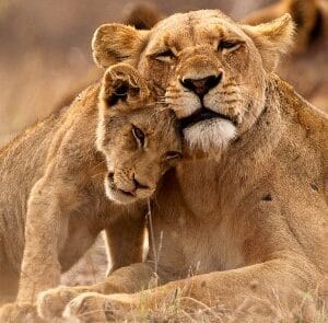 Rondreis ZUID-AFRIKA KORT